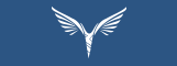 Avio Servis Ikar
